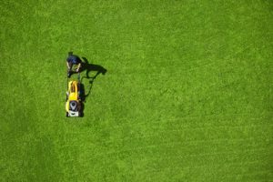 Lawn Care