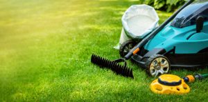 Lawn Mowing